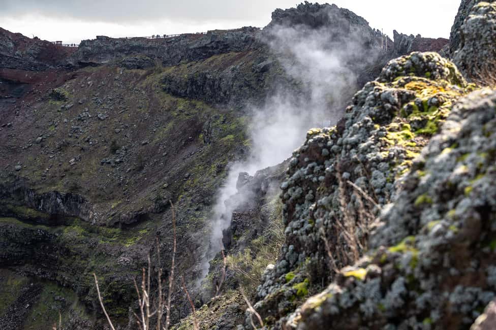 From Naples: Pompeii and Vesuvius Guided Day Trip with Lunch - Key Things to Know Before You Go