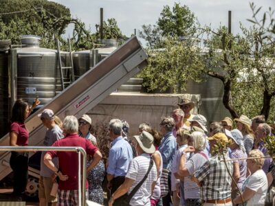 From Naples: Pompeii and Wine Tasting Tour with Lunch - The Pompeii walk: fast context, smart highlights, real walking