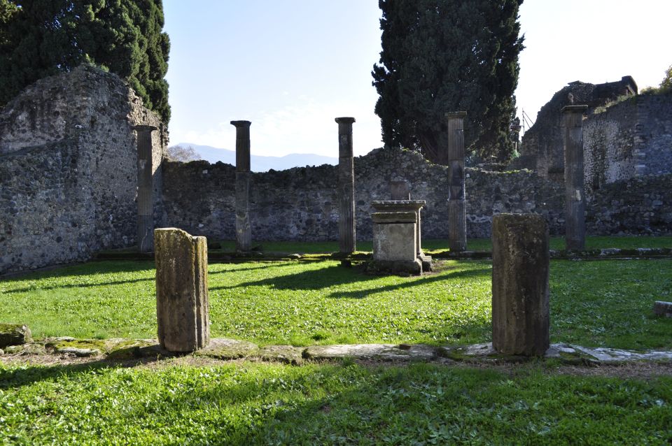 From Naples: Pompeii and Wine Tasting Tour with Lunch - What the day’s timing really feels like (8 hours of Naples-to-Vesuvius)