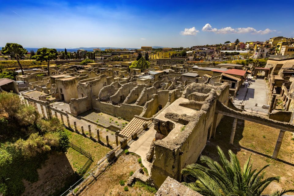 From Naples: Pompeii, Herculaneum, & Vesuvius Full-Day Tour - Who This Tour Suits Best