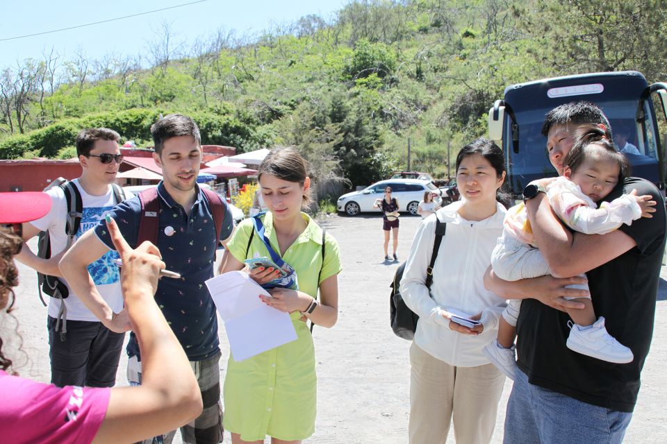 From Naples: Pompeii, Herculaneum, & Vesuvius Full-Day Tour - How the 8.5 Hours Feels: Efficient, Self-Paced, and Walk-Heavy