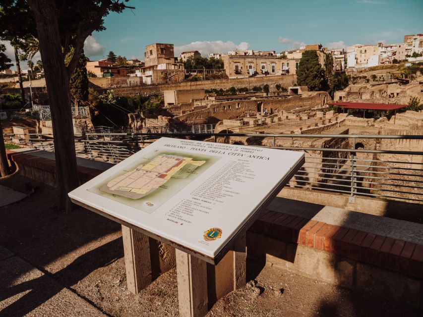 From Naples: Pompeii & Herculaneum with Archaeologist Guide - Meet at Starhotels Terminus, Then Off to Ercolano by Minibus
