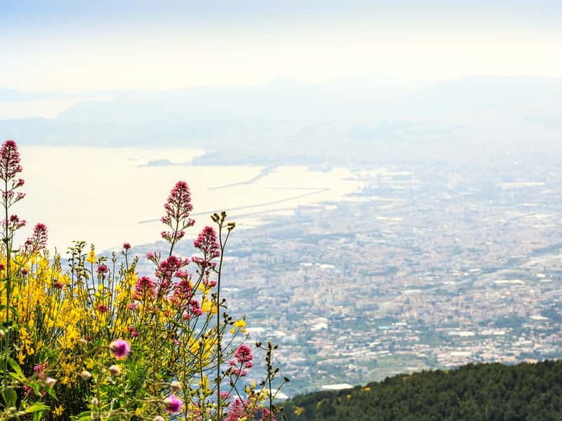 From Naples: Vesuvius Easy Tour - How the Naples-to-Vesuvius 3-hour plan really works