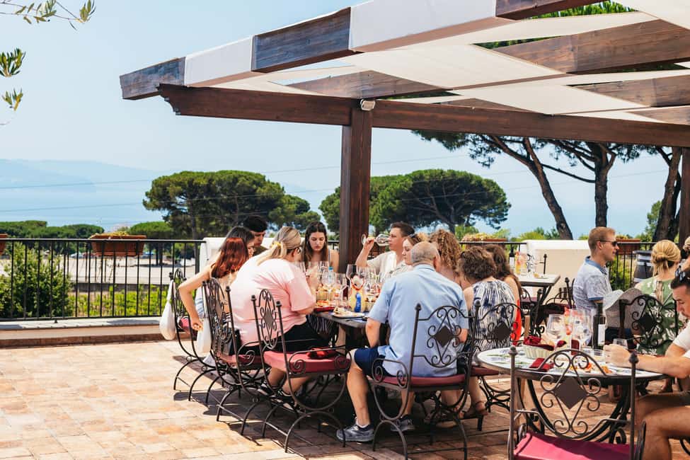 From Naples: Wine Tasting Tour on Vesuvius Slopes with Lunch - Naples Pickup To the Vesuvius Winery Drive