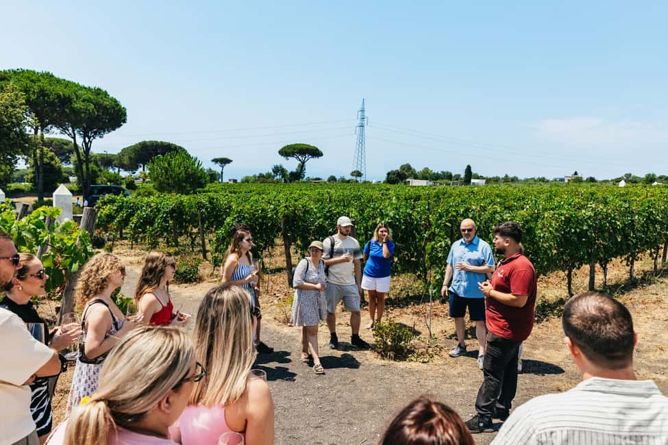 From Naples: Wine Tasting Tour on Vesuvius Slopes with Lunch - Lunch With Local Flavor: Why the Meal Is More Than a Break