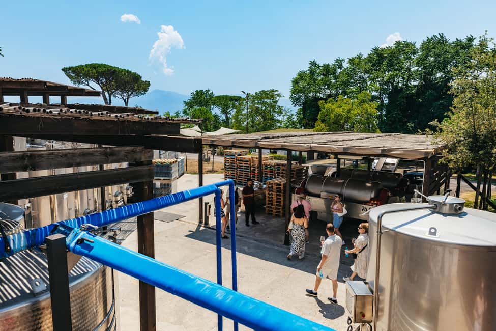 From Naples: Wine Tasting Tour on Vesuvius Slopes with Lunch - Views of Naples and Sorrento: The Part You Can’t Replicate