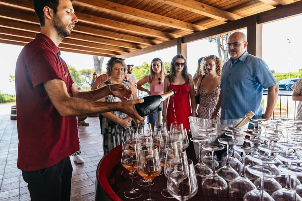 From Naples: Wine Tasting Tour on Vesuvius Slopes with Lunch - Farm Store Time: How to Buy Without Regret