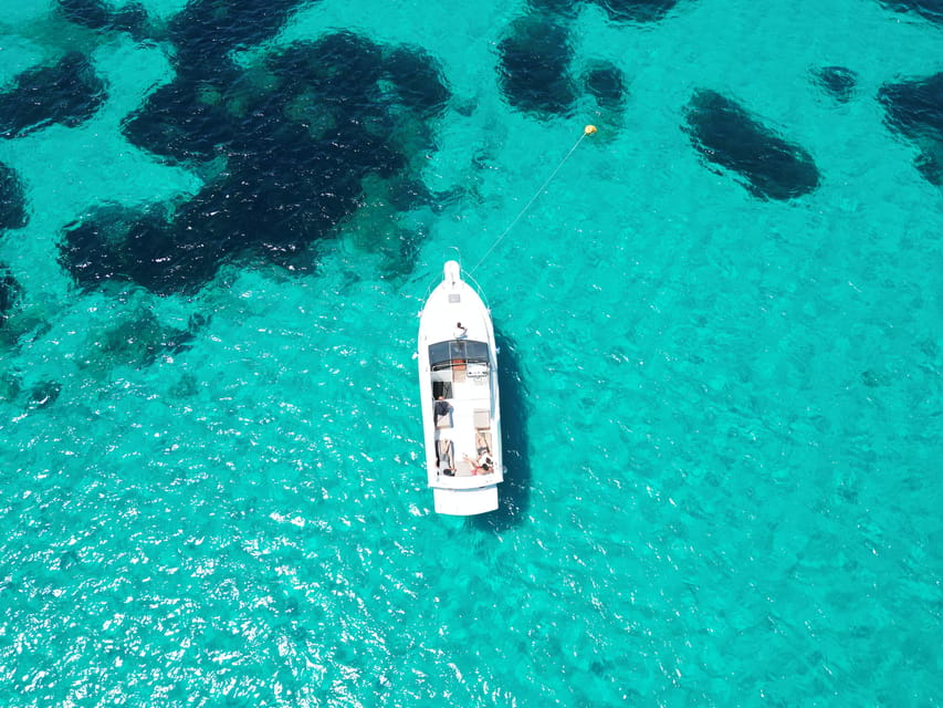 From Palau/La Maddalena: All inclusive Yacht Tour - Budelli’s natural pools and the Pink Beach photo moment