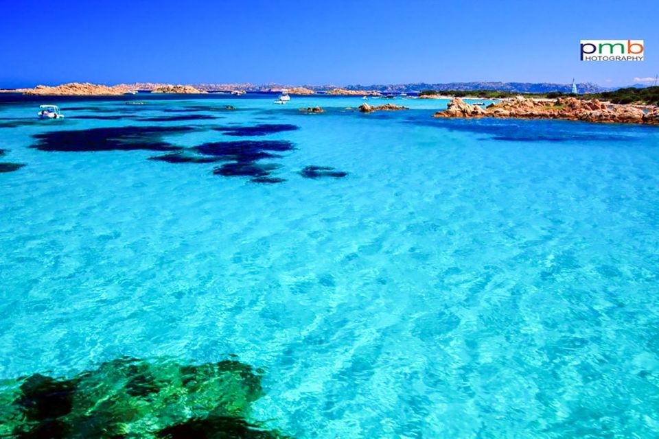 From Palau: La Maddalena Archipelago Day Tour by Boat - The Pink Beach area: famous, protected, and seen from the water