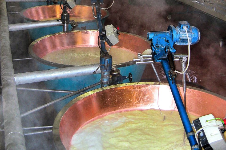 From Parma: Parmesan, Parma Ham & Balsamic Vinegar Tour - Key highlights worth planning around