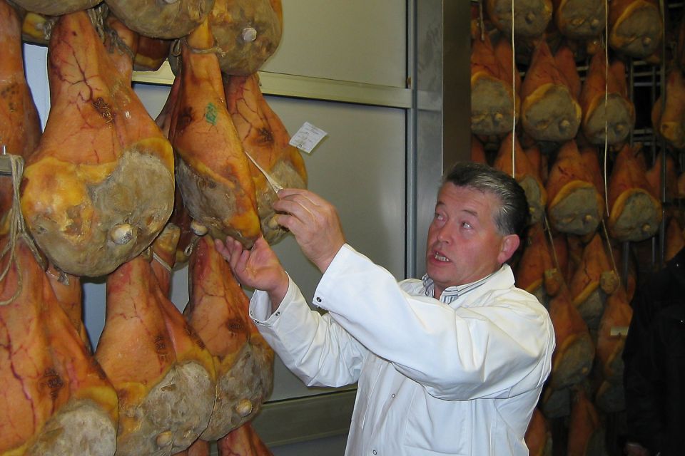 From Parma: Parmesan, Parma Ham & Balsamic Vinegar Tour - Lunch in Parma style: more than a break