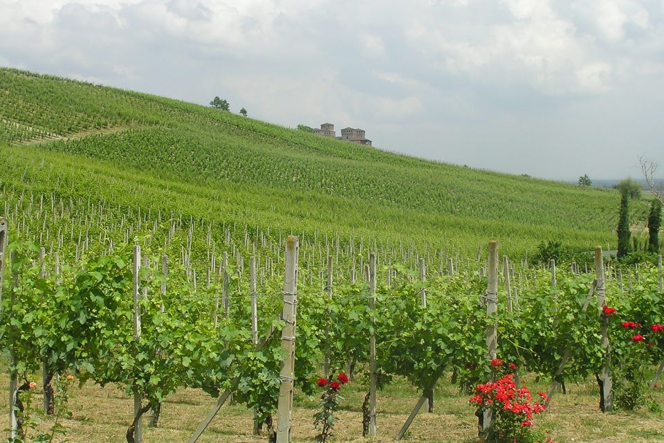 From Parma: Parmesan, Parma Ham & Balsamic Vinegar Tour - What you actually get: tastings, tickets, and a real lunch