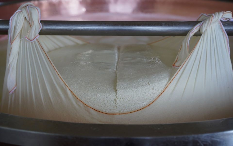 From Parma: Parmigiano and Parma Ham Guided Food Tour - What You’ll Learn While You Taste Aged Parmigiano (Not Just Eat It)