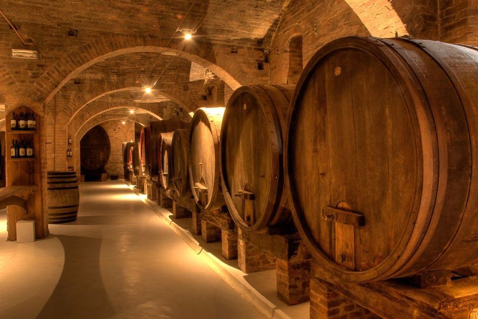 From Pisa or Lucca: Half-Day Tuscany Chianti Wine Tasting - The winery visit: meeting the owner, touring the cantina, and learning organic methods