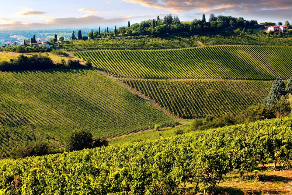 From Pisa or Lucca: Half-Day Tuscany Chianti Wine Tasting - Optional stops on the way: Montecarlo-type hill towns and quick photo windows