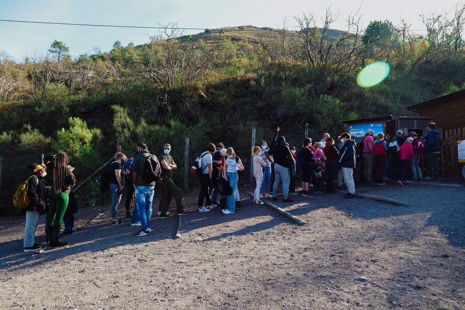 From Pompeii: Mount Vesuvius Guided Tour with Transfer - Skipping the line at the entrance: why it matters at Vesuvius