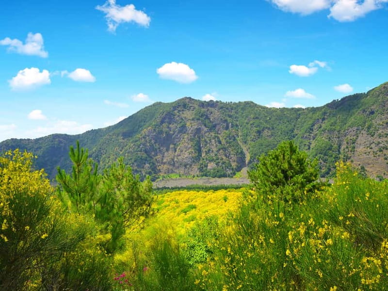 From Pompeii: Mt. Vesuvius Hike & Tour by Bus - The 1000-Meter Start: Expect a Real Hike, Not a Walk in the Park