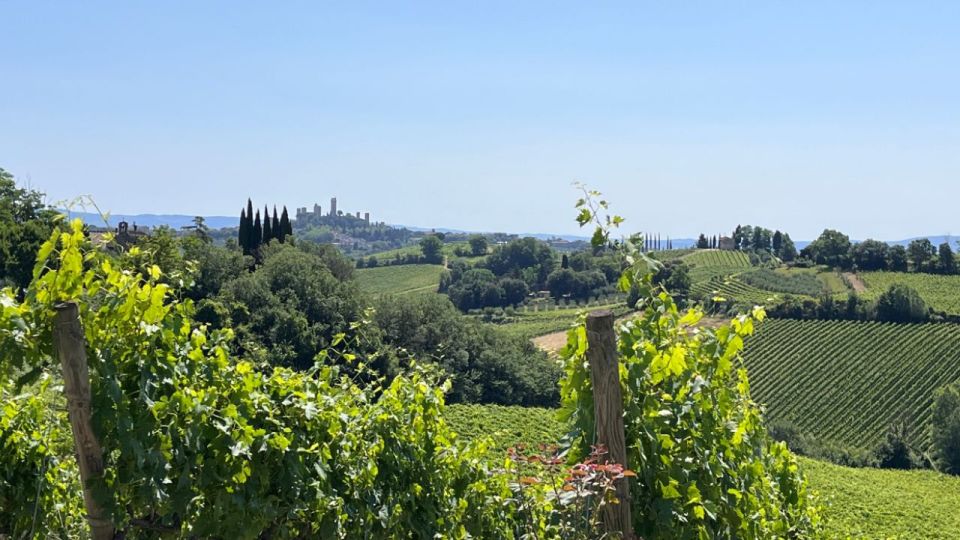From Rome: Florence & Tuscany Day Tour by High-Speed Train - Who should book this Florence and Tuscany day trip
