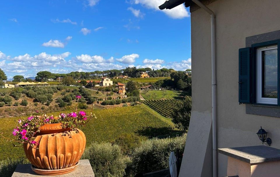 From Rome: Half-Day Frascati Wine Tour with Farmhouse Lunch - The practical checklist that keeps your day stress-free