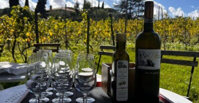 From Rome: Half-Day Frascati Wine Tour with Farmhouse Lunch - Walking Frascati With Your Guide: cathedral views and town tastings