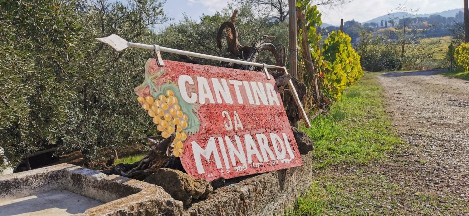 From Rome: Half-Day Frascati Wine Tour with Farmhouse Lunch - The Vineyard and Old Cellar Visit: where the tasting starts to make sense