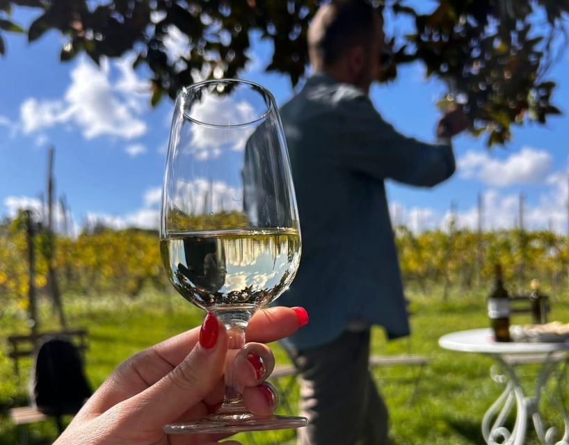 From Rome: Half-Day Frascati Wine Tour with Farmhouse Lunch - Chef Lunch at the Farmhouse: local specialties and real atmosphere