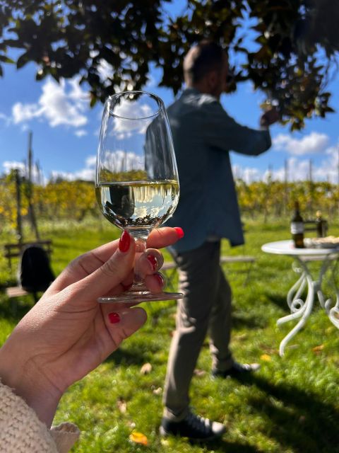 From Rome: Pasta Masterclass & Wine Tour in the Vineyard - Vineyard walk + the old cellar: tasting wine where it’s stored