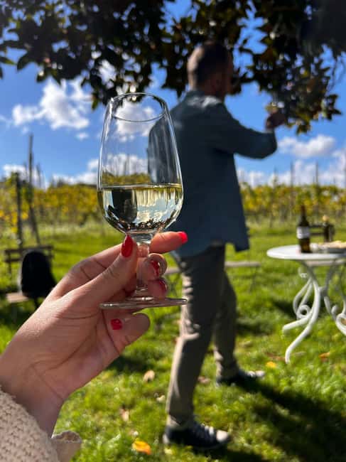 From Rome: Pasta Masterclass & Wine Tour in the Vineyard - Who should book this pasta and wine experience