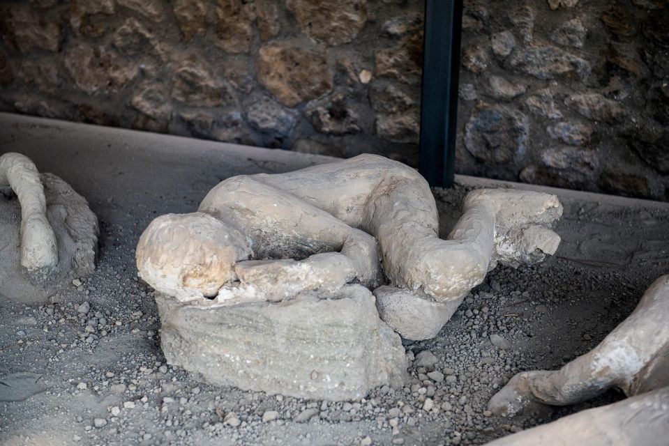 From Rome: Pompeii and Herculaneum by High-Speed Train - Who should book this Pompeii and Herculaneum tour from Rome