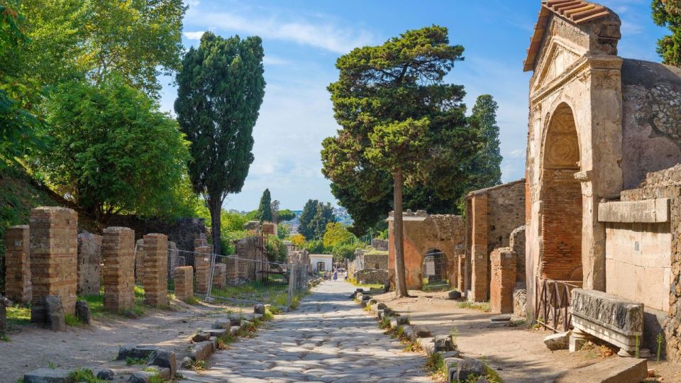 From Rome: Pompeii and Naples Day Trip by High-Speed Train - Who should book this Pompeii and Naples day trip