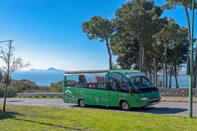 From Rome: Pompeii and Vesuvio Guided Day Trip with Lunch - The Rome-to-Pompeii ride: Autostrada del Sole comfort
