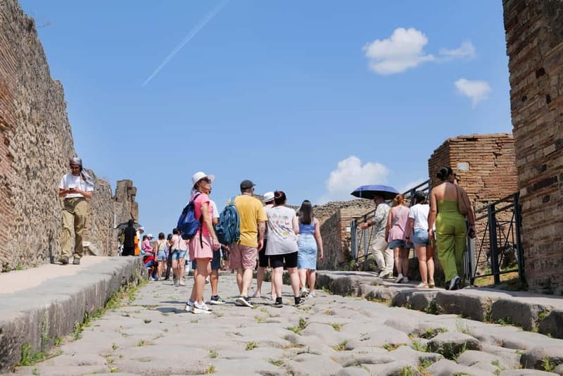 From Rome: Pompeii Ruins Tour with Expert Guide & Fast Train - Pompeii’s 2-hour guided walk: what you’ll likely focus on