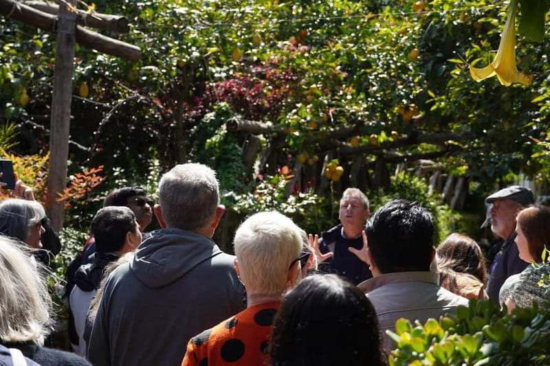 From Rome: Sorrento & Pompeii Day Trip with Guide or Ticket - Sorrento stop: limoncello tasting and a real change of pace