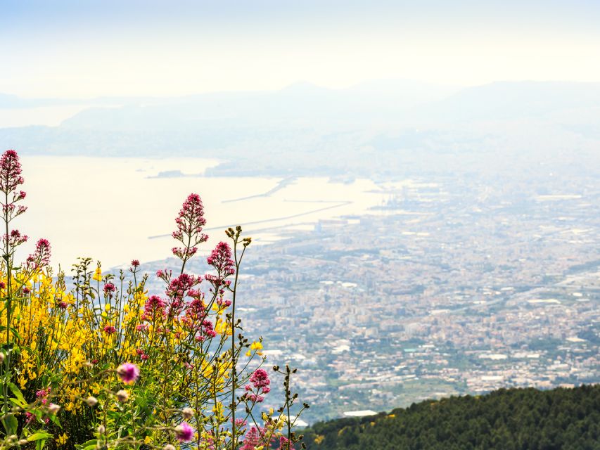 From Salerno: Vesuvius & Pompeii with audioguide - Getting started: the Piazza Vittorio Veneto meeting point