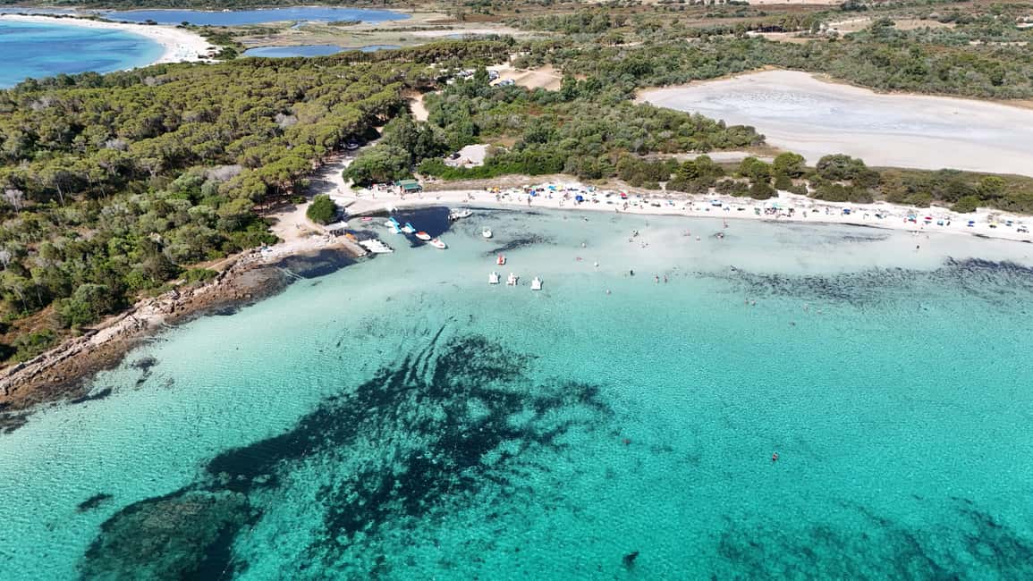From San Teodoro: Tavolara Archipelago Grand Tour - Key highlights worth planning around