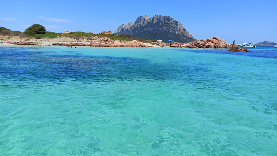 From San Teodoro: Tavolara Archipelago Grand Tour - Cala Girgolu and the Rock Turtle: the final swim stop that sticks with you