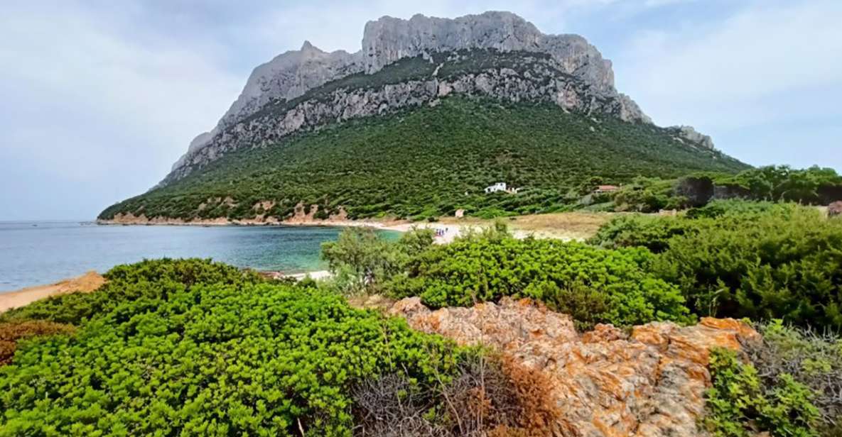 From San Teodoro: Tavolara Archipelago Mini Tour - From San Teodoro to Tavolara: The Setup That Makes It Easy