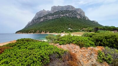 From San Teodoro: Tavolara Archipelago Mini Tour - Price and Value: What $67.97 Gets You in Real Terms