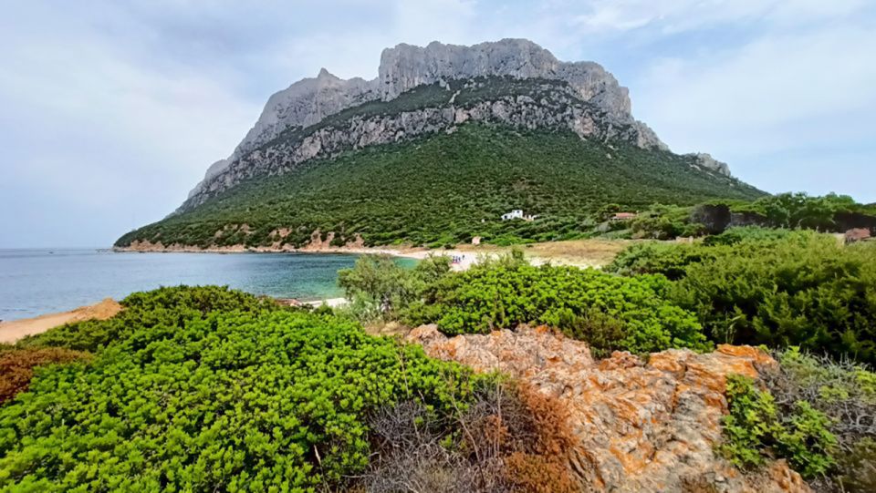 From San Teodoro: Tavolara Archipelago Mini Tour - Price and Value: What $67.97 Gets You in Real Terms