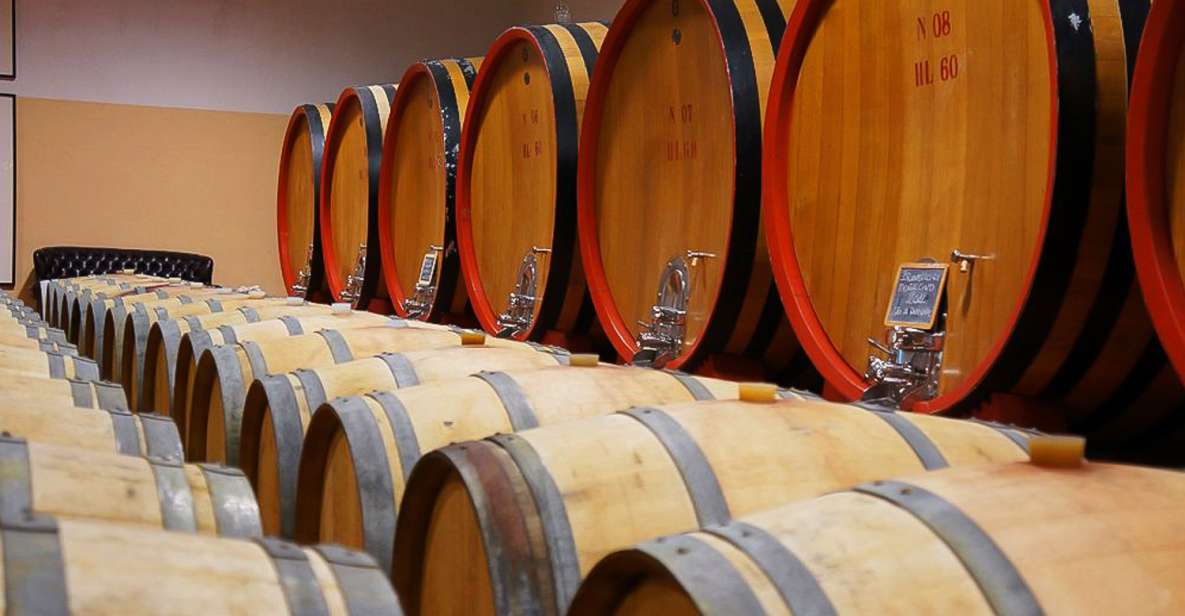 From Siena: Brunello di Montalcino Guided Wine Tour W/ Lunch - Key things about this Brunello day