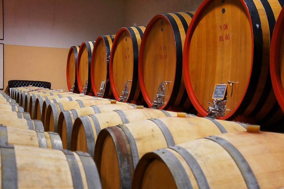 From Siena: Brunello di Montalcino Guided Wine Tour W/ Lunch - Three wineries in one day: tastings that compare, not just sample