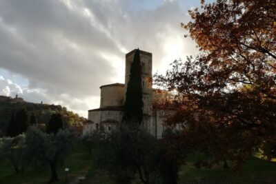 From Siena: Brunello di Montalcino Guided Wine Tour W/ Lunch - Vineyard walk and cellar time: where Brunello gets real