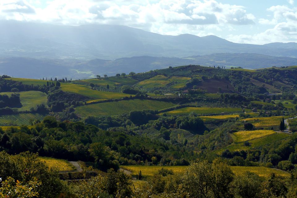 From Siena: Brunello di Montalcino Guided Wine Tour W/ Lunch - Abbey of Sant’Antimo: the quiet reset between tastings