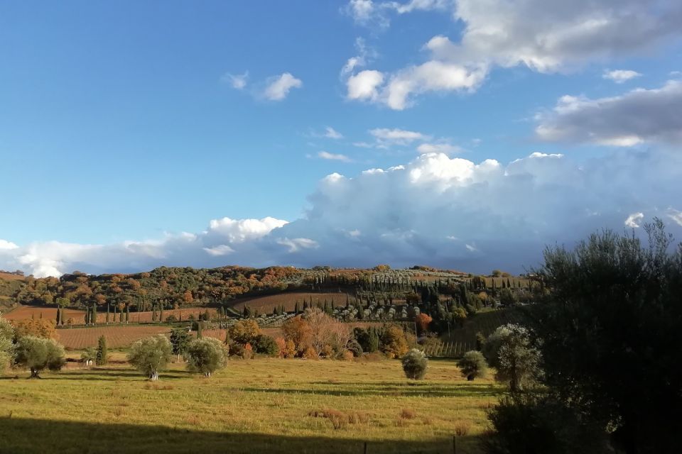 From Siena: Brunello di Montalcino Guided Wine Tour W/ Lunch - Lunch at a family-run winery: where the day slows just enough