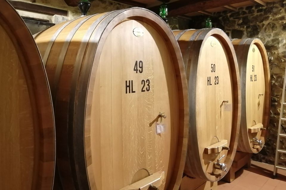 From Siena: Brunello di Montalcino Guided Wine Tour W/ Lunch - The guide makes the difference: from Marco to Georgia to Paulo