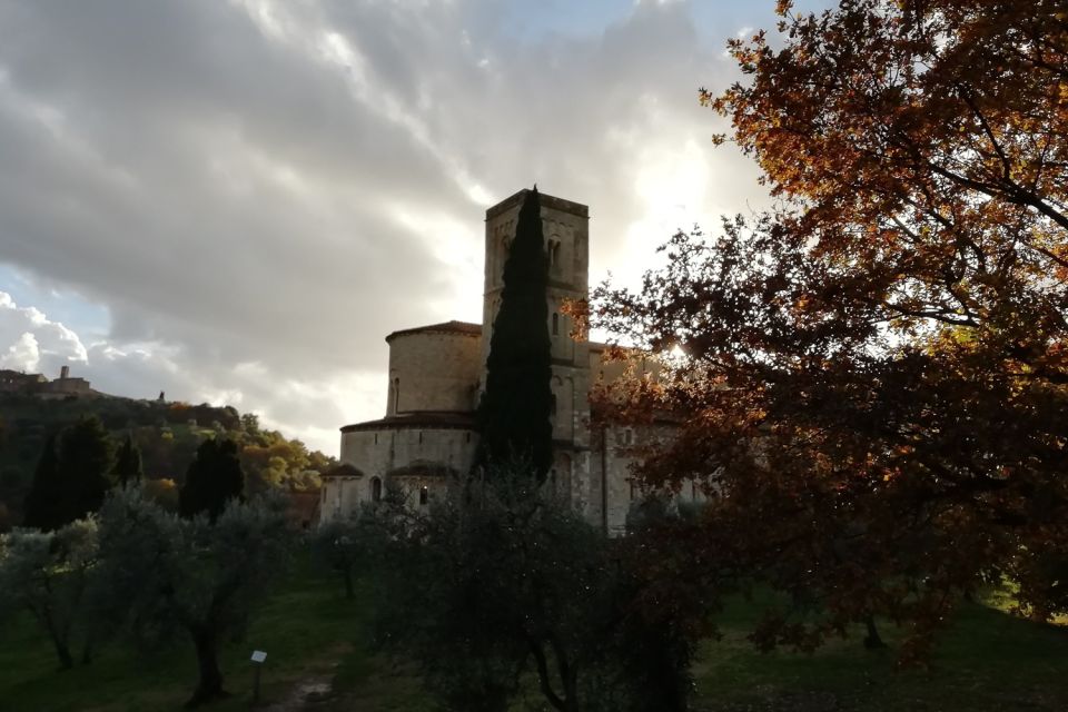 From Siena: Brunello di Montalcino Guided Wine Tour W/ Lunch - Vineyard walk and cellar time: where Brunello gets real