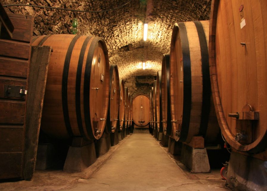 From Siena: Chianti and Castles Tour with Wine Tastings - Price and value: what $100 buys you here