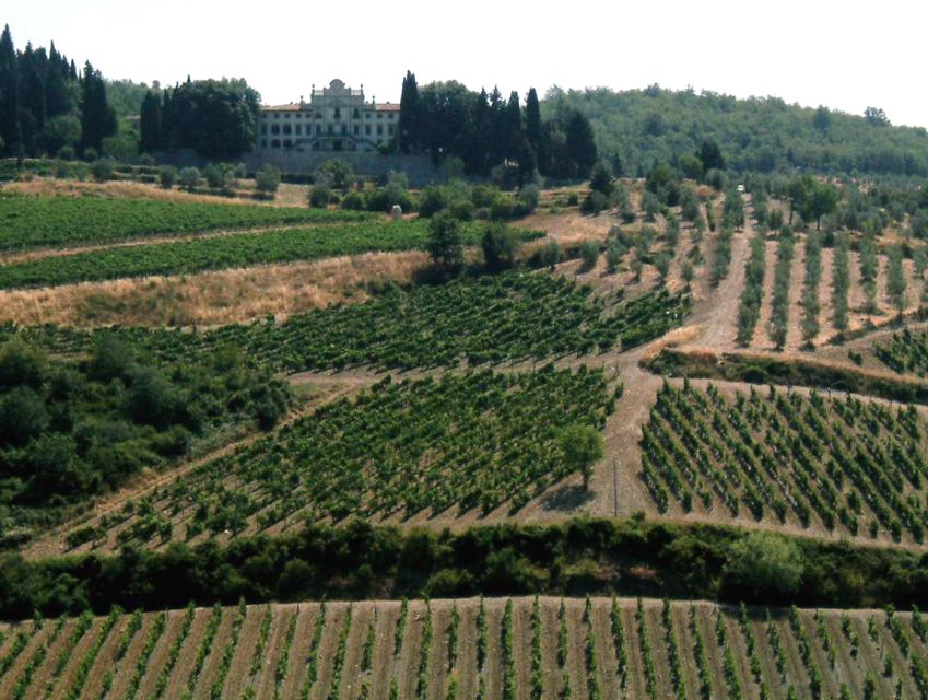 From Siena: Chianti and Castles Tour with Wine Tastings - Why this Chianti half-day works so well from Siena