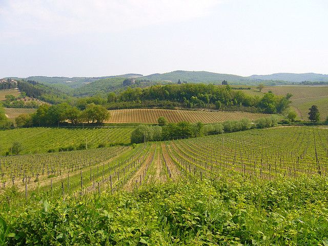 From Siena: Chianti and Castles Tour with Wine Tastings - Monteriggioni: walled medieval views and a chance to wander