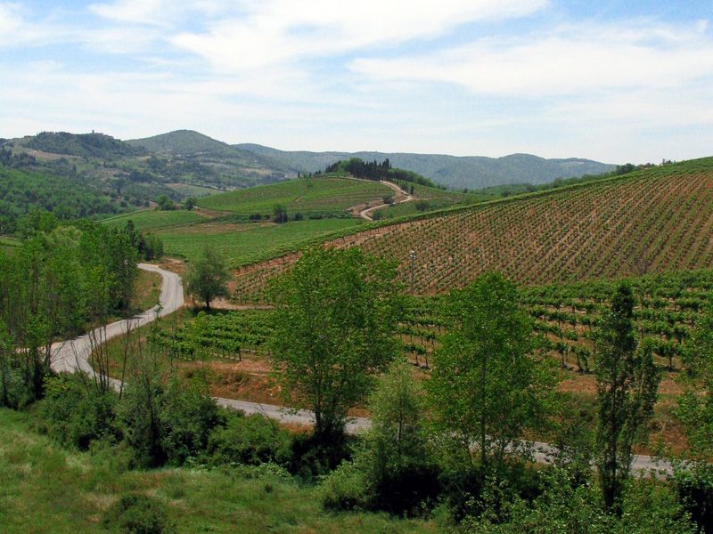 From Siena: Chianti and Castles Tour with Wine Tastings - Second winery in the Chianti Classico area: a different tasting experience